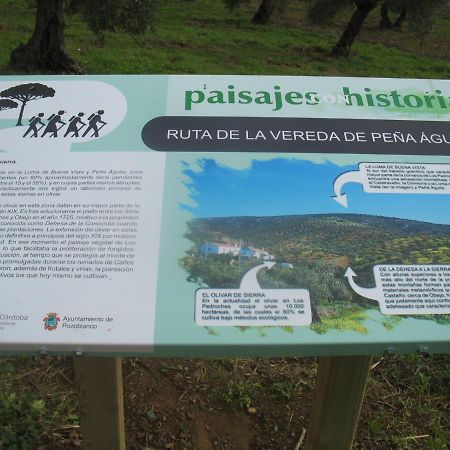 Cortijo "Era Grande 2" Villa Córdoba Eksteriør billede