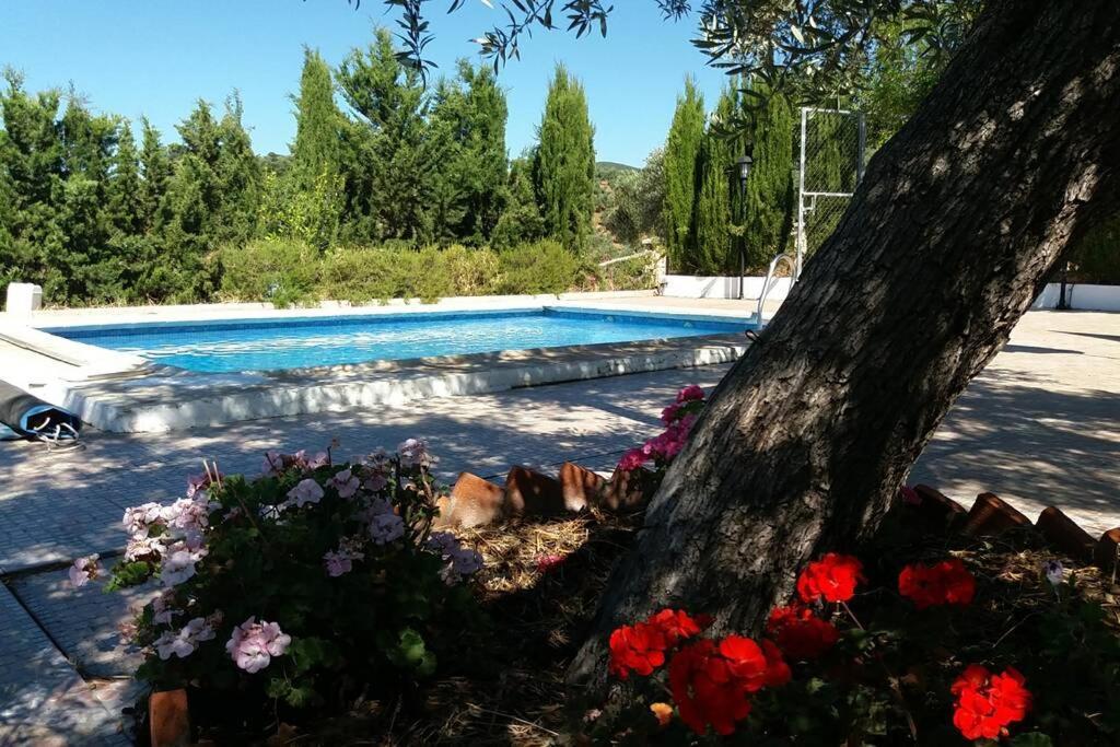 Cortijo "Era Grande 2" Villa Córdoba Eksteriør billede