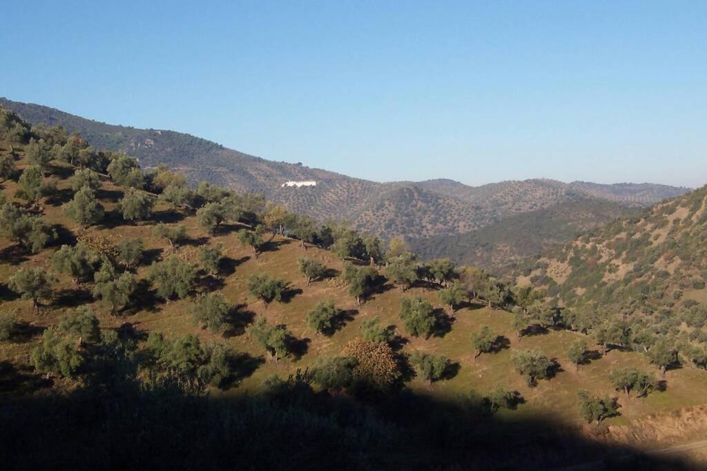 Cortijo "Era Grande 2" Villa Córdoba Eksteriør billede
