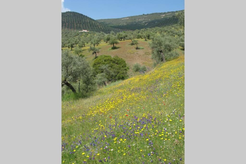 Cortijo "Era Grande 2" Villa Córdoba Eksteriør billede