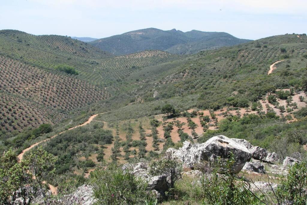 Cortijo "Era Grande 2" Villa Córdoba Eksteriør billede