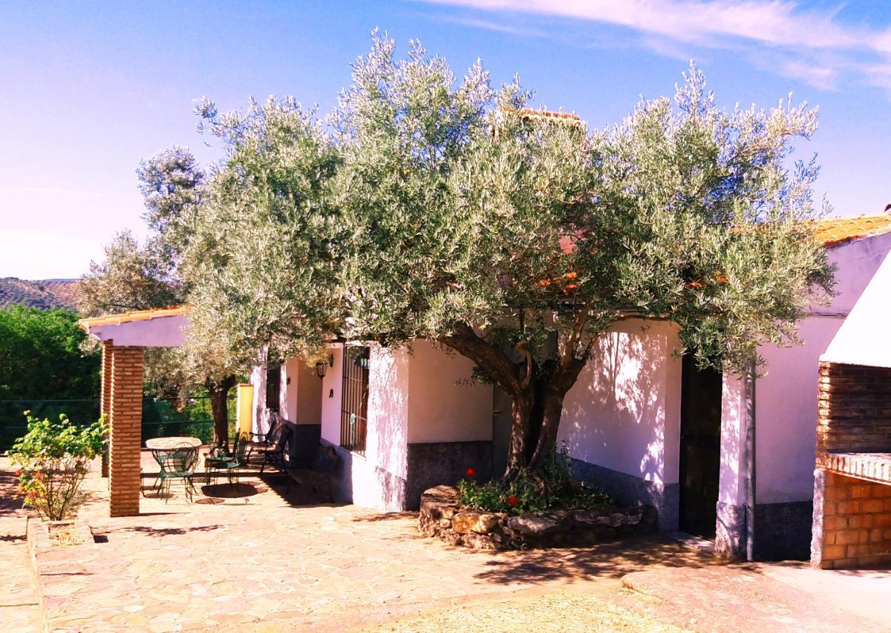Cortijo "Era Grande 2" Villa Córdoba Eksteriør billede