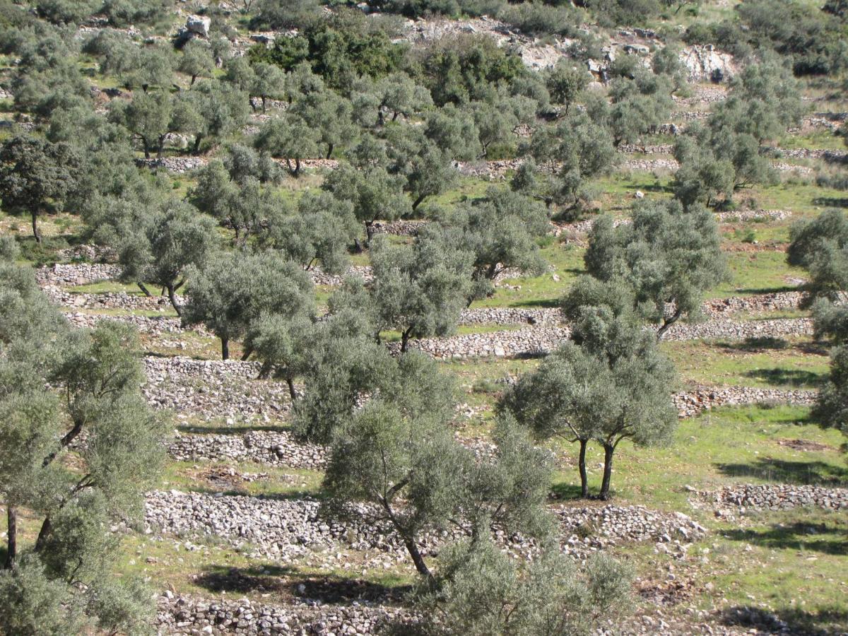Cortijo "Era Grande 2" Villa Córdoba Eksteriør billede