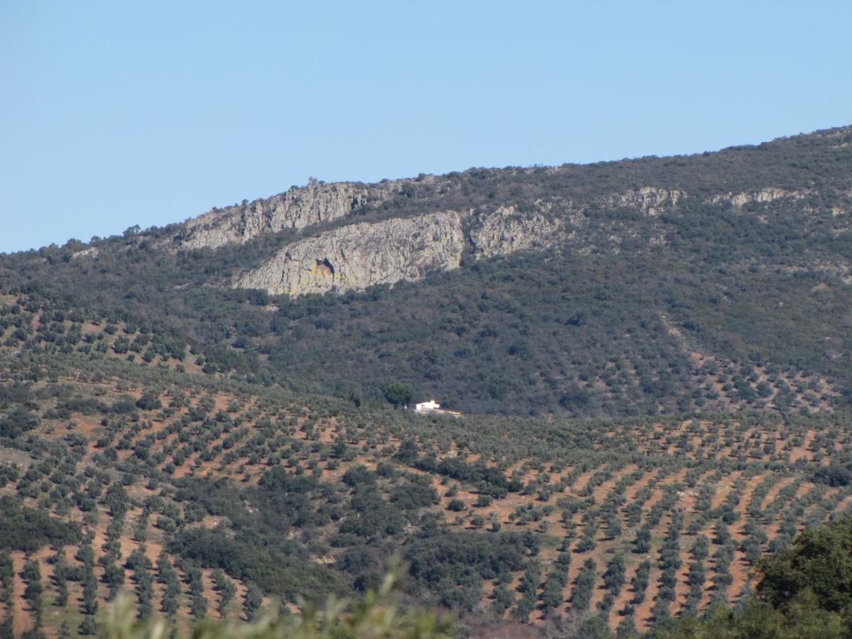Cortijo "Era Grande 2" Villa Córdoba Eksteriør billede