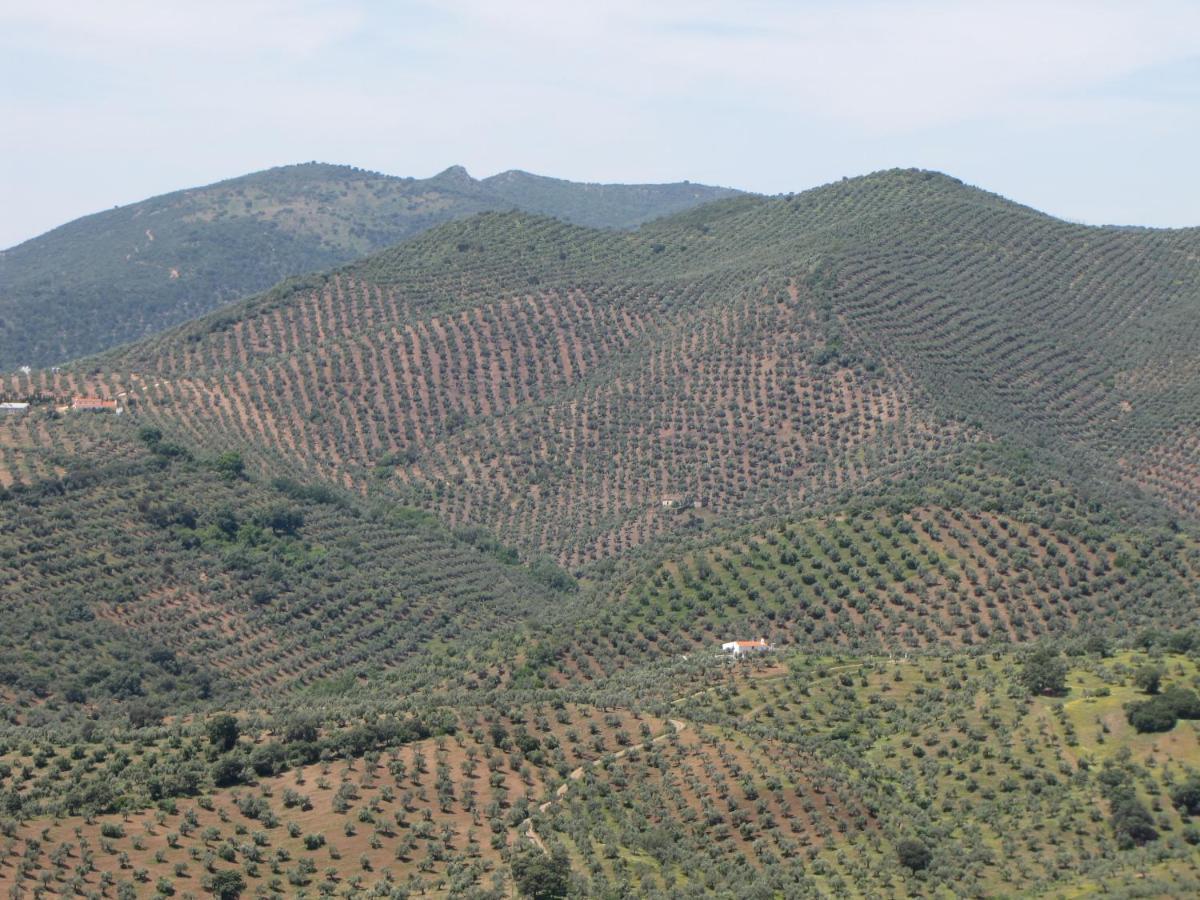 Cortijo "Era Grande 2" Villa Córdoba Eksteriør billede