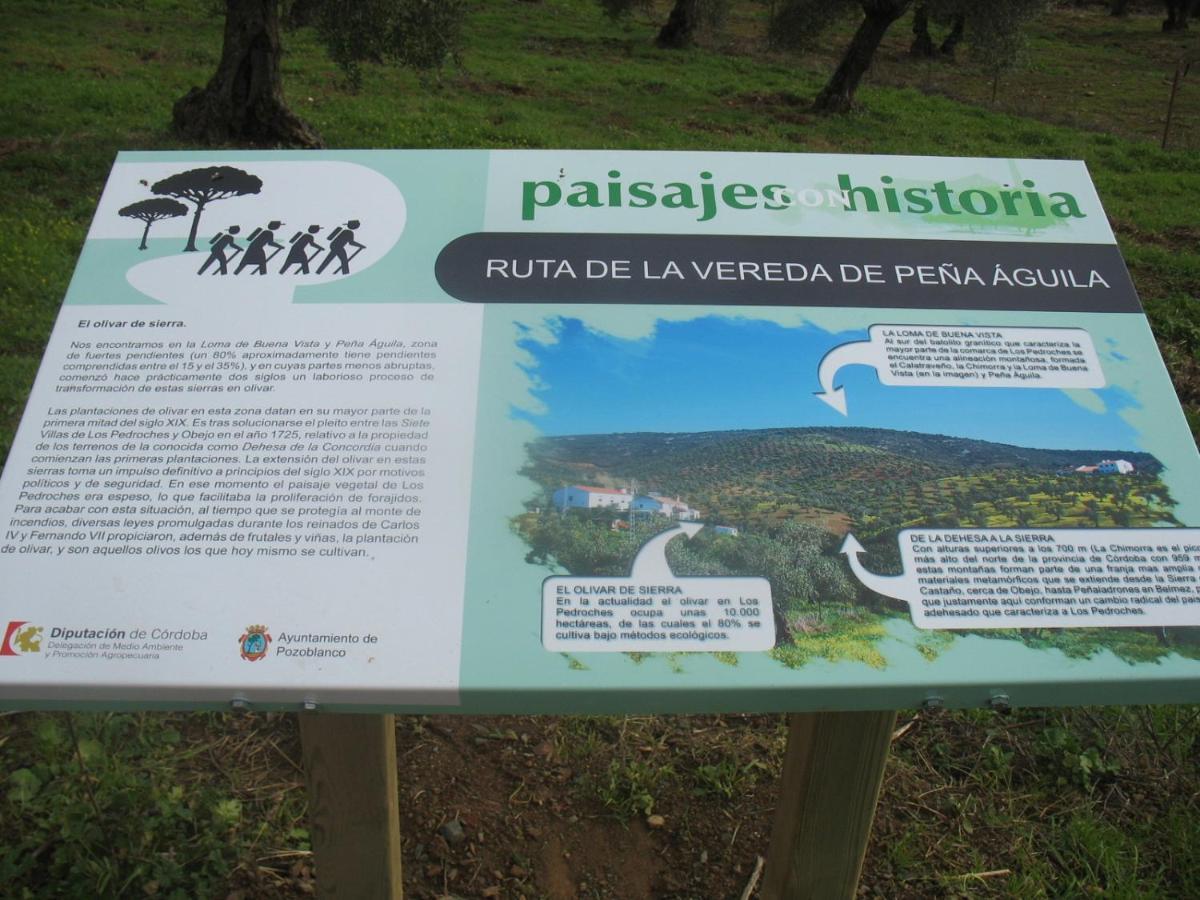 Cortijo "Era Grande 2" Villa Córdoba Eksteriør billede