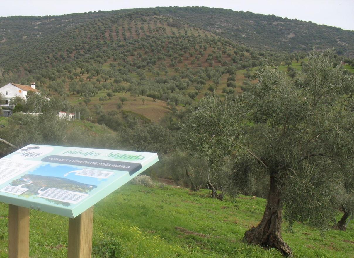 Cortijo "Era Grande 2" Villa Córdoba Eksteriør billede