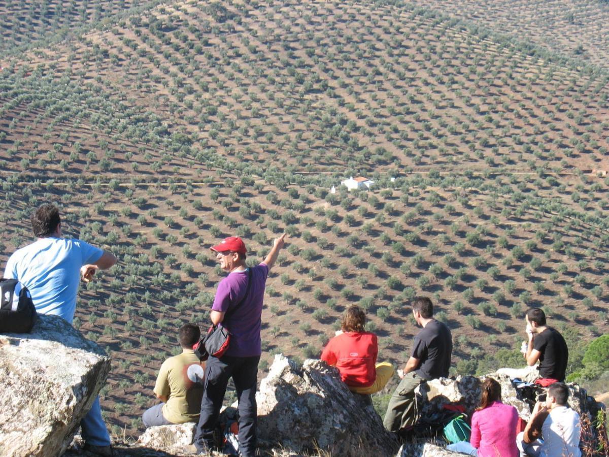 Cortijo "Era Grande 2" Villa Córdoba Eksteriør billede