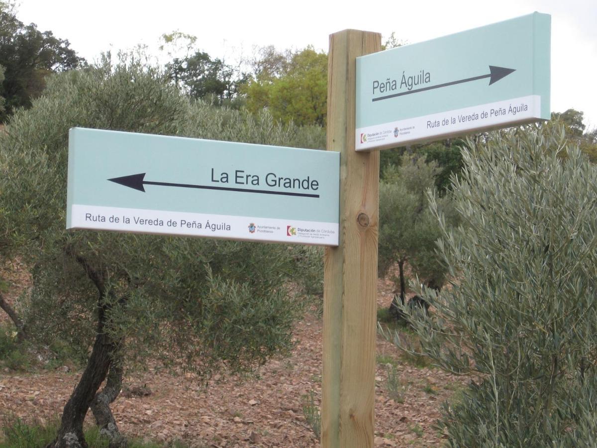 Cortijo "Era Grande 2" Villa Córdoba Eksteriør billede